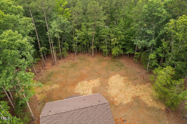 125 Oswego Dr, Louisburg, NC 27549 - photo 45