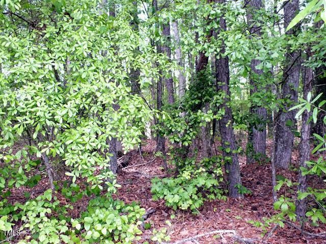 00 Bunn Elementary School, Bunn, NC 27508