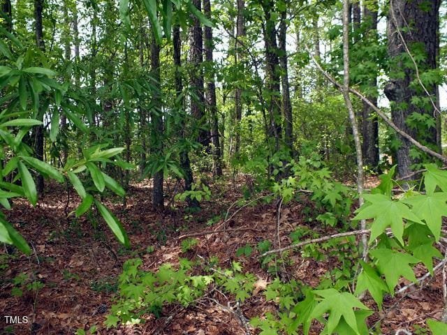 00 Bunn Elementary School Rd, Bunn, NC 27508