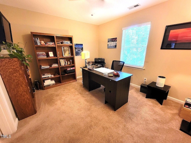 5126 Thornton Knoll Way, Raleigh, NC 27616 - office with light colored carpet