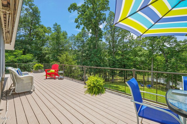 136 Audubon Pl, Clarksville, VA 23927 - photo 37