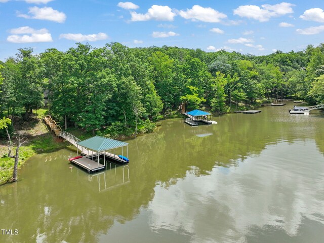 136 Audubon Pl, Clarksville, VA 23927 - photo 41
