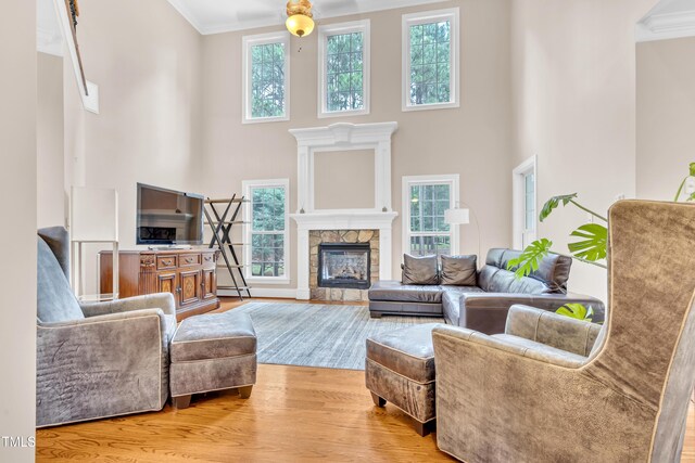 3004 Krogen Ct, Creedmoor, NC 27522 - living room with crown molding, a high ceiling, a fireplace, and light wood-style flooring