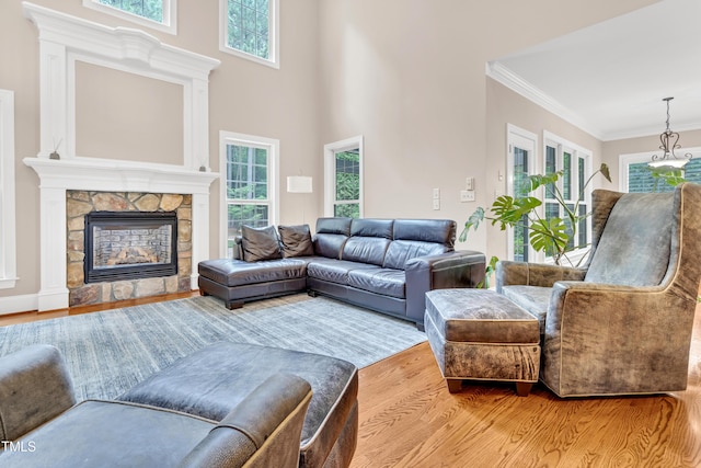 3004 Krogen Ct, Creedmoor, NC 27522 - living room with light wood finished floors, healthy amount of natural light, crown molding, and a fireplace