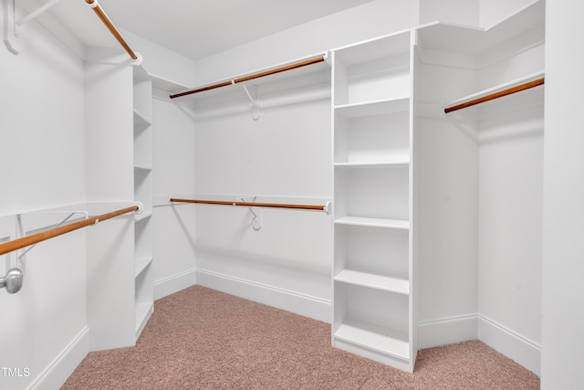 3004 Krogen Ct, Creedmoor, NC 27522 - walk in closet with carpet