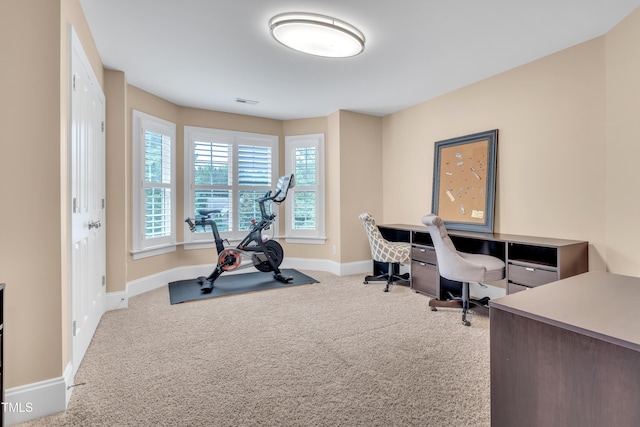 3004 Krogen Ct, Creedmoor, NC 27522 - workout area with carpet floors and baseboards