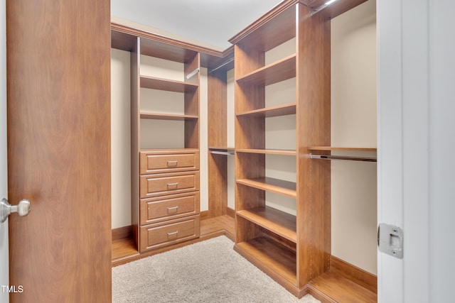 3004 Krogen Ct, Creedmoor, NC 27522 - view of walk in closet