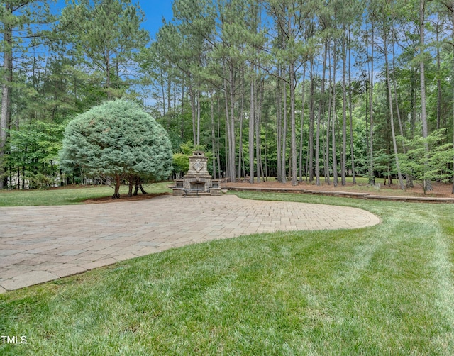 3004 Krogen Ct, Creedmoor, NC 27522 - view of grassy yard with an outdoor stone fireplace