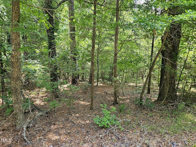 213 Teel Dr, Durham, NC 27704