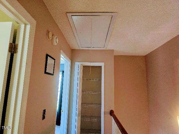 5301 Peacenest Dr, Raleigh, NC 27610 - hall featuring attic access