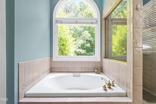 7401 Heartland Dr, Wake Forest, NC 27587 - full bathroom featuring a bath and plenty of natural light