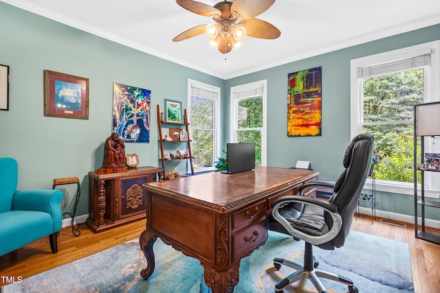 7401 Heartland Dr, Wake Forest, NC 27587 - office with ceiling fan, light wood-style floors, plenty of natural light, and crown molding