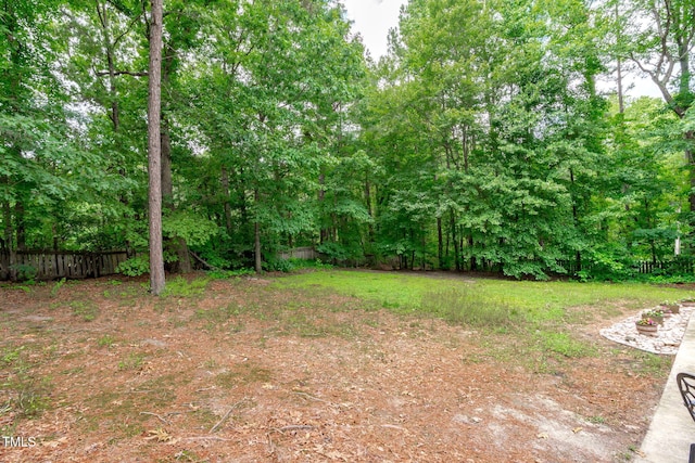 297 Curragh Cv, Fuquay Varina, NC 27526 - view of yard