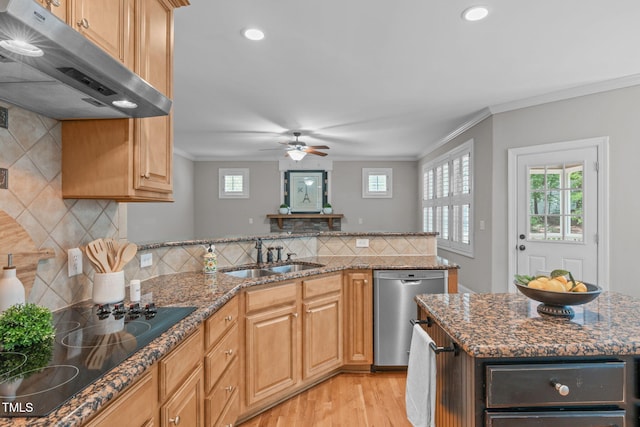 297 Curragh Cv, Fuquay Varina, NC 27526 - kitchen featuring stainless steel dishwasher, under cabinet range hood, a sink, a peninsula, and black electric stovetop