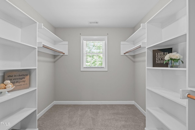 297 Curragh Cv, Fuquay Varina, NC 27526 - spacious closet featuring carpet floors
