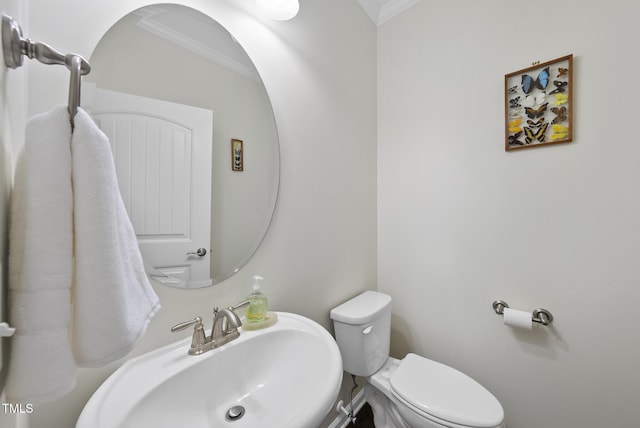 123 Turnstone Dr, Durham, NC 27703 - bathroom with ornamental molding, a sink, and toilet