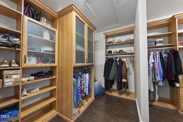 123 Turnstone Dr, Durham, NC 27703 - walk in closet with dark wood-type flooring and attic access