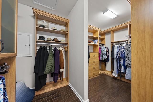 123 Turnstone Dr, Durham, NC 27703 - walk in closet with dark wood finished floors