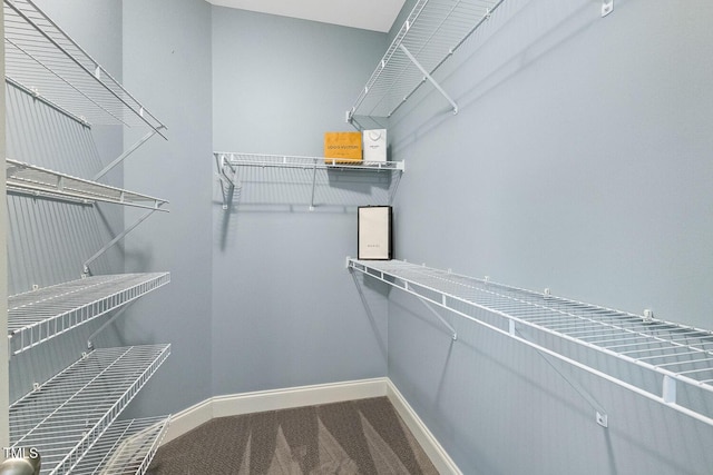 853 Bluffcreek Dr, Fuquay Varina, NC 27526 - spacious closet featuring carpet flooring