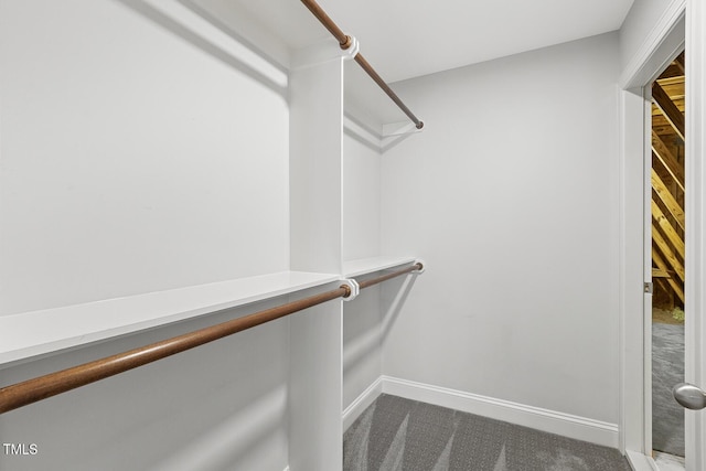 853 Bluffcreek Dr, Fuquay Varina, NC 27526 - walk in closet with dark carpet
