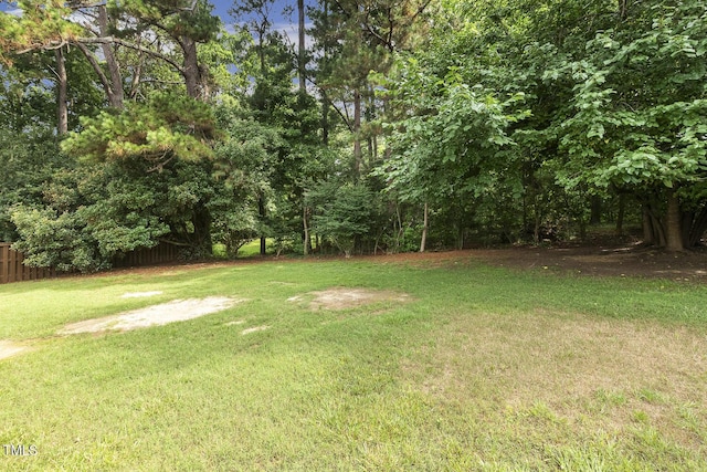 853 Bluffcreek Dr, Fuquay Varina, NC 27526 - view of yard