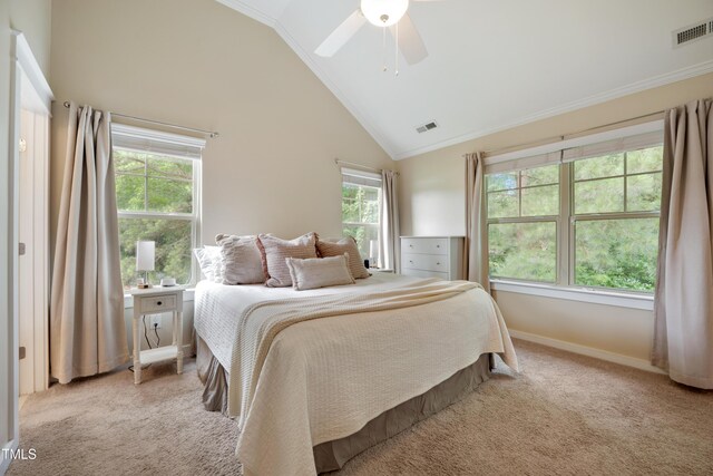 6301 Pesta Ct, Raleigh, NC 27612 - photo 14
