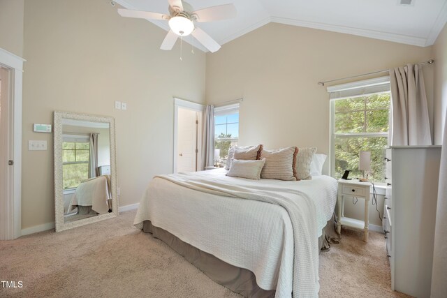 6301 Pesta Ct, Raleigh, NC 27612 - photo 15