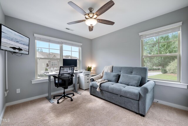 6301 Pesta Ct, Raleigh, NC 27612 - photo 18