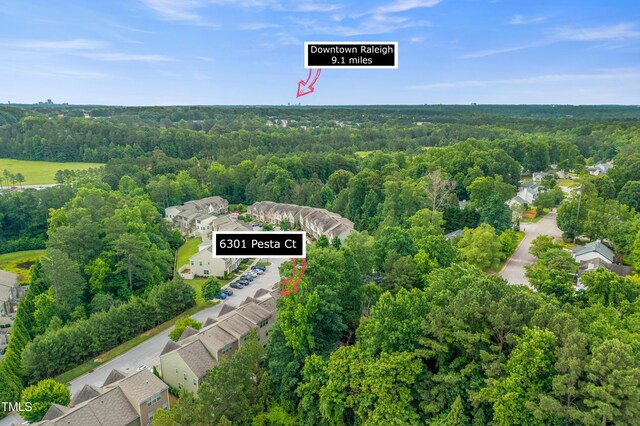 6301 Pesta Ct, Raleigh, NC 27612 - photo 25