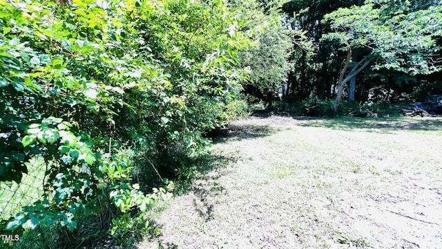 505 E Canary St, Dunn, NC 28334 - view of local wilderness