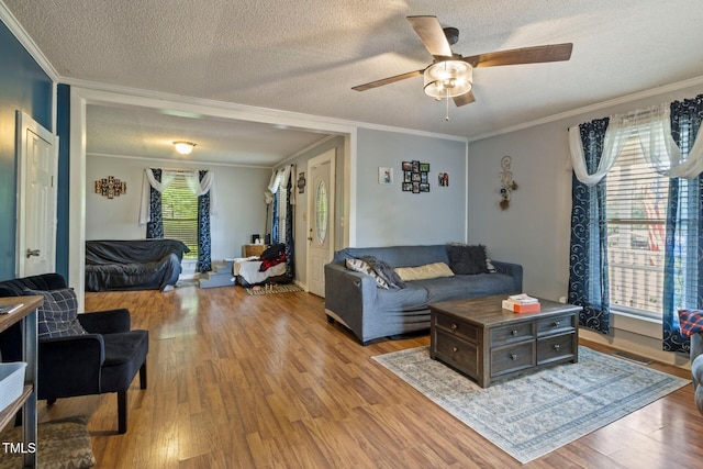 819 Corbin St, Albemarle, NC 28001 - living room featuring a textured ceiling, wood finished floors, a ceiling fan, and crown molding