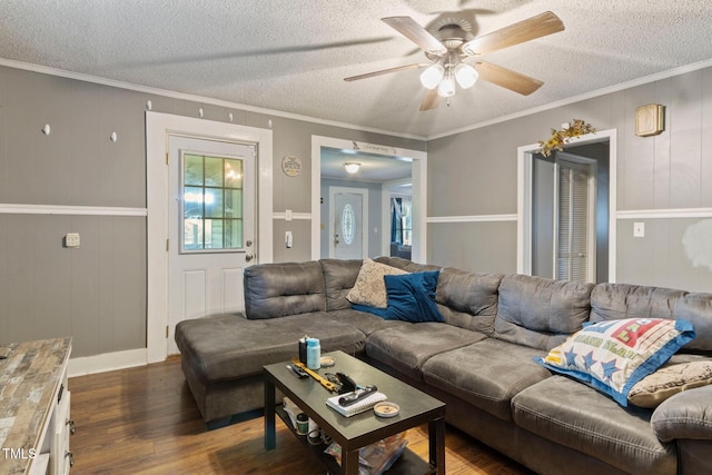 819 Corbin St, Albemarle, NC 28001 - living room with wood finished floors, a textured ceiling, ceiling fan, and ornamental molding