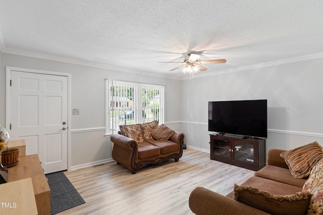 509 Forest Ridge Rd, Garner, NC 27529 - living room featuring a ceiling fan, light wood finished floors, ornamental molding, and a textured ceiling