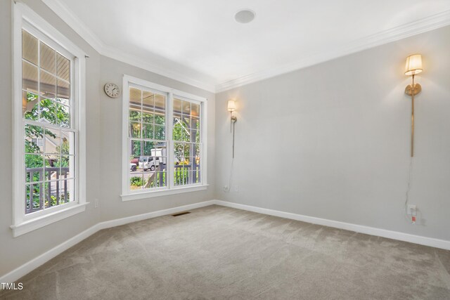 104 Shady Ridge Ct, Apex, NC 27502 - carpeted spare room featuring crown molding, plenty of natural light, and baseboards