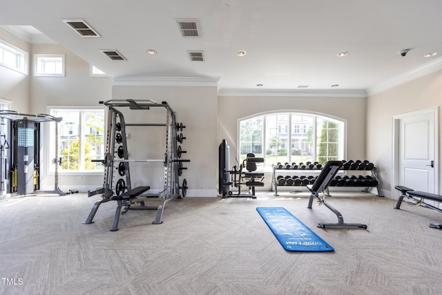 3032 Curling Creek Dr, Apex, NC 27502 - exercise room with carpet, plenty of natural light, ornamental molding, and recessed lighting