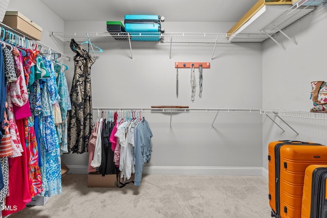 3032 Curling Creek Dr, Apex, NC 27502 - spacious closet with carpet floors