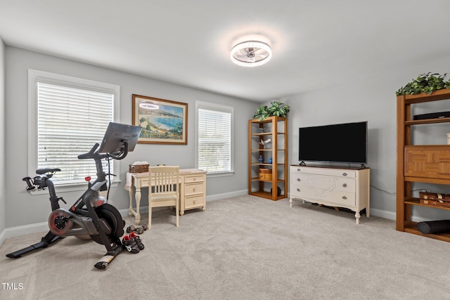 3032 Curling Creek Dr, Apex, NC 27502 - workout room featuring baseboards and carpet flooring