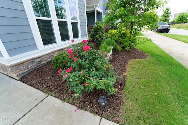 421 Old Ride Dr, Holly Springs, NC 27540 - view of yard
