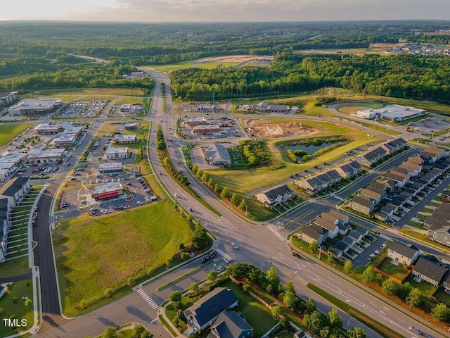 1624 Tunnel St, Wendell, NC 27591 - aerial view of property and surrounding area
