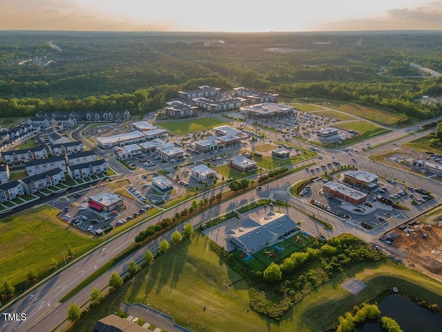 1624 Tunnel St, Wendell, NC 27591 - aerial view at dusk of a wooded view