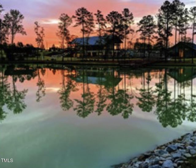 1624 Tunnel St, Wendell, NC 27591 - water view