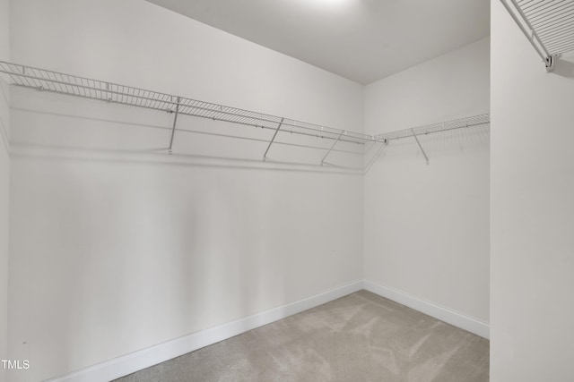 428 Mill Station Ln, Wendell, NC 27591 - walk in closet featuring light colored carpet