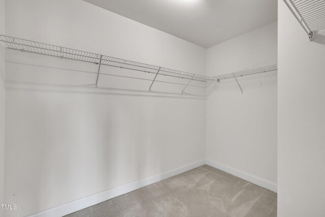 428 Mill Station Ln, Wendell, NC 27591 - photo 25