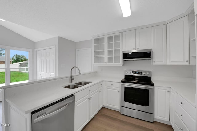 248 Robin Loop, Dunn, NC 28334 - kitchen with stainless steel appliances, a sink, a peninsula, light wood-style floors, and vaulted ceiling