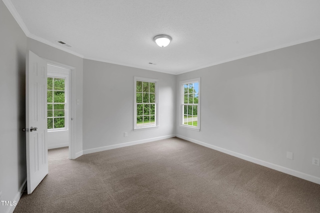 248 Robin Loop, Dunn, NC 28334 - carpeted empty room featuring crown molding and baseboards