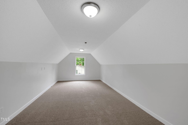 248 Robin Loop, Dunn, NC 28334 - additional living space featuring carpet floors, baseboards, and lofted ceiling
