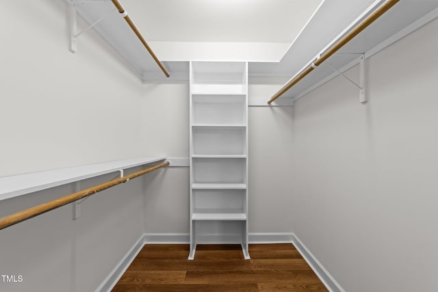 2913 Coxindale Dr, Raleigh, NC 27615 - spacious closet with dark wood-style flooring