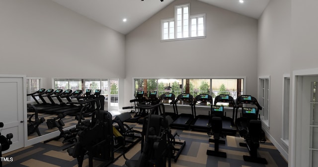 219 Carova Bnd, Apex, NC 27539 - exercise room featuring high vaulted ceiling and carpet floors