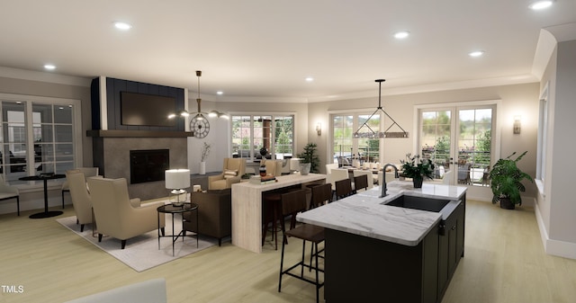 219 Carova Bnd, Apex, NC 27539 - kitchen featuring a sink, light wood-type flooring, a center island with sink, a premium fireplace, and recessed lighting