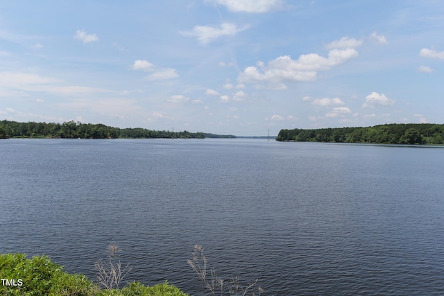 219 Carova Bnd, Apex, NC 27539 - water view featuring a heavily wooded area
